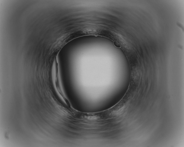 X0000097760645200803141724