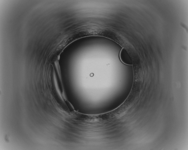 X0000097760646200803141724