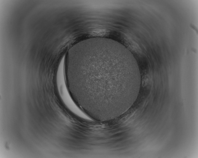 X0000097760647200803141724