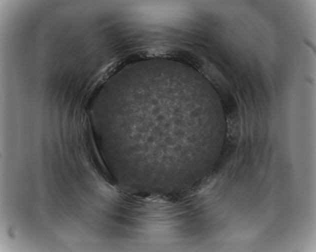 X0000097760648200803141724