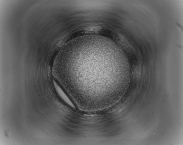 X0000097760649200803141724