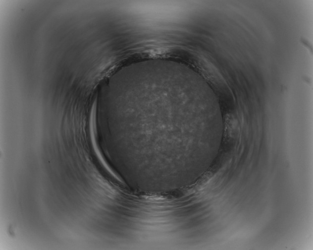 X0000097760650200803141724