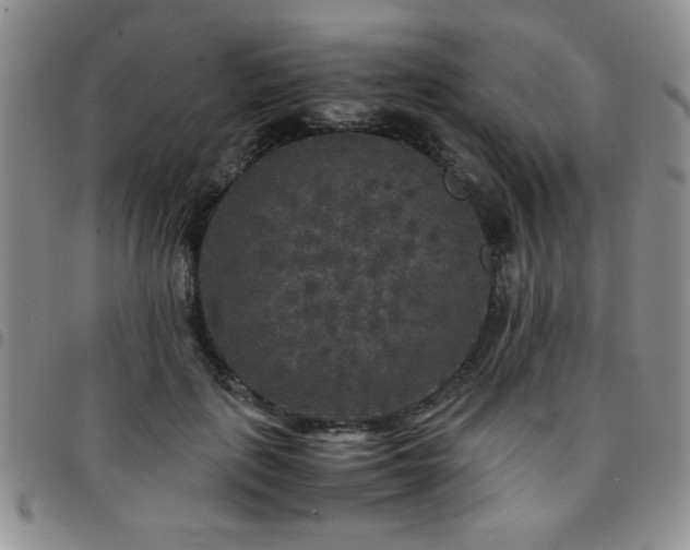 X0000097760651200803141724