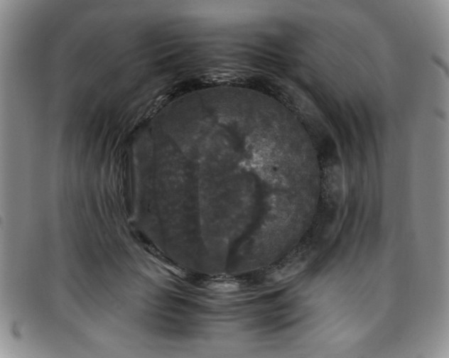 X0000097760653200803141724