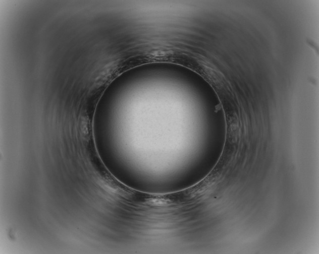 X0000097760654200803141724