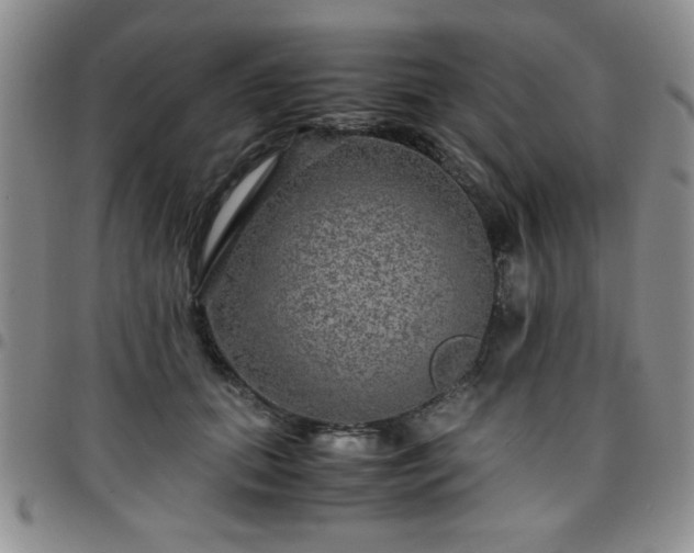 X0000097760655200803141724