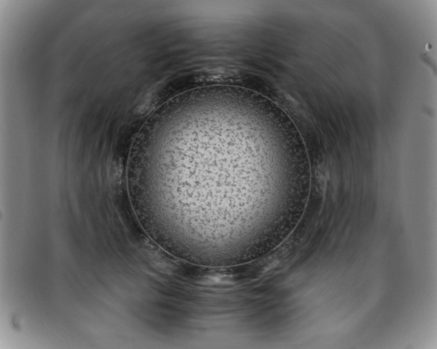 X0000097760657200803141724