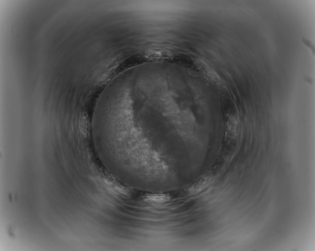 X0000097760659200803141724