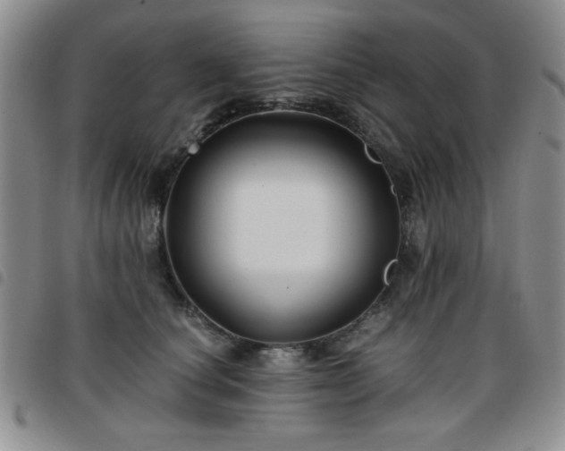 X0000097760660200803141724