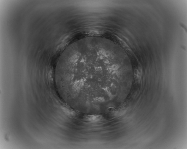 X0000097760663200803141724