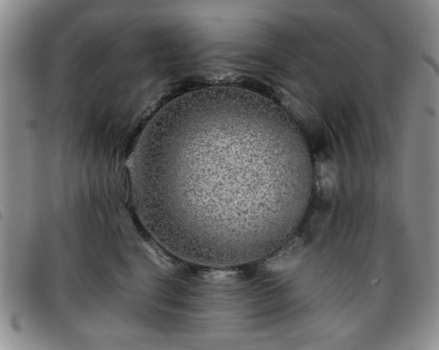 X0000097760664200803141724