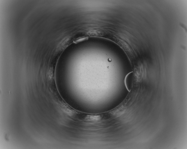 X0000097760665200803141724