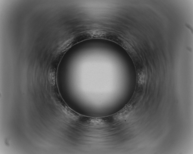 X0000097760666200803141724