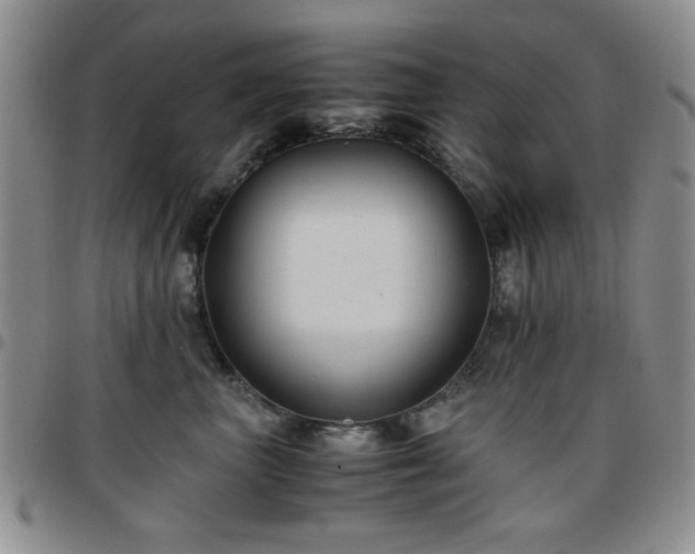 X0000097760667200803141724