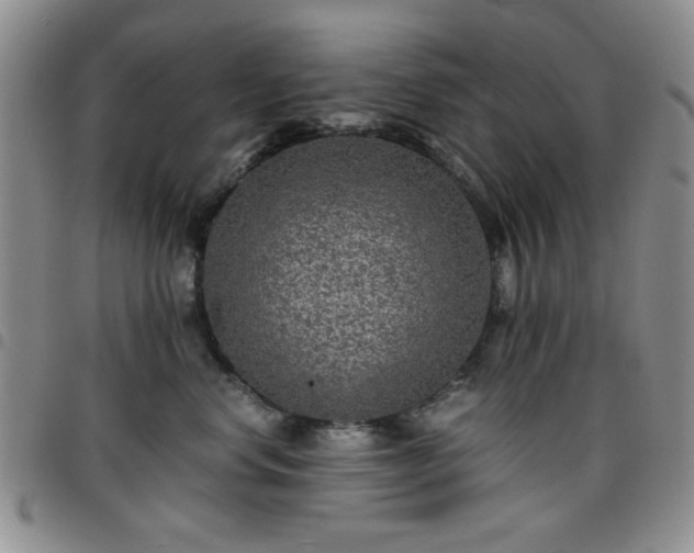 X0000097760668200803141724