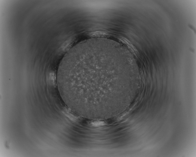 X0000097760669200803141724