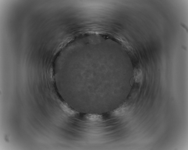 X0000097760670200803141724