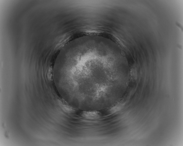 X0000097760671200803141724