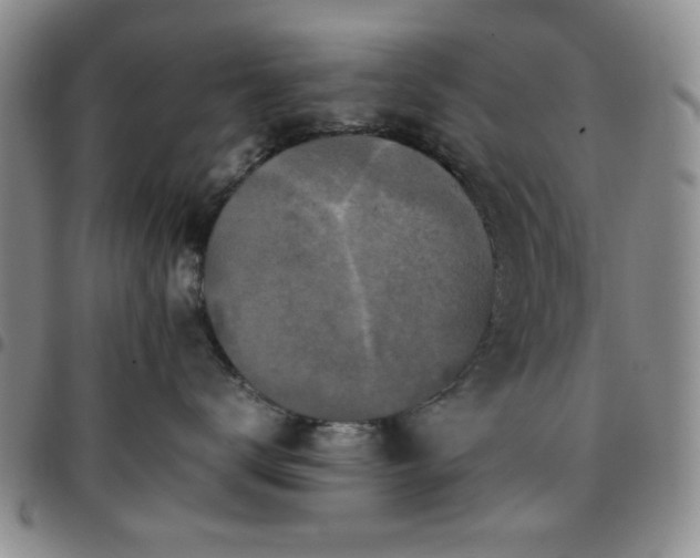 X0000097760672200803141724