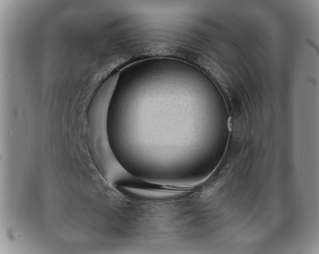 X0000097760673200803141724