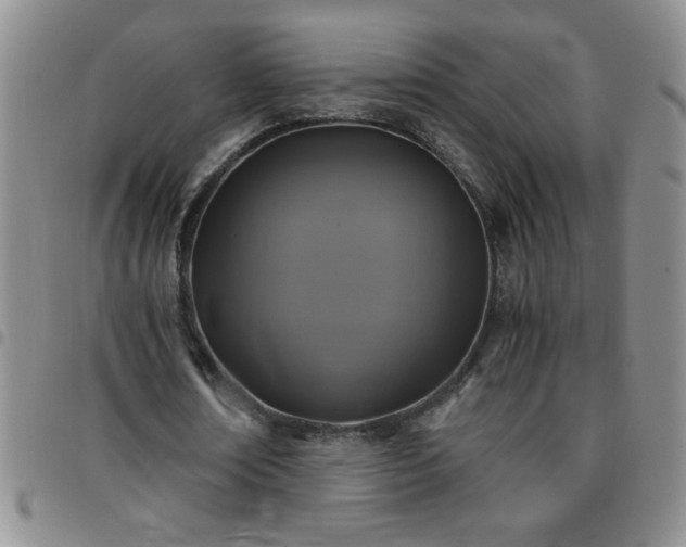 X0000097760674200803141724