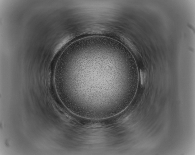 X0000097760675200803141724