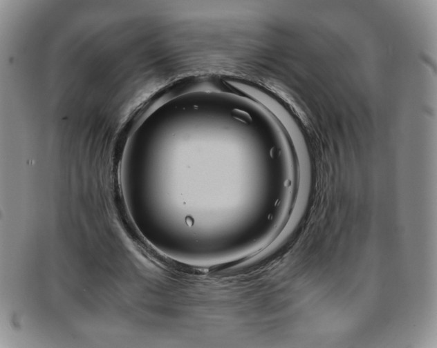 X0000097760677200803141724