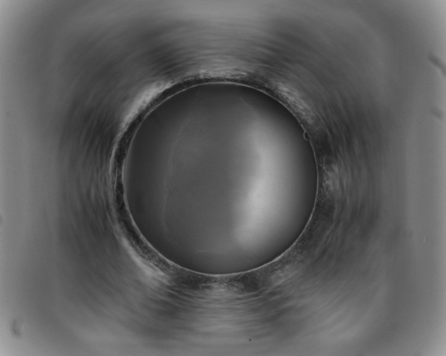 X0000097760678200803141724