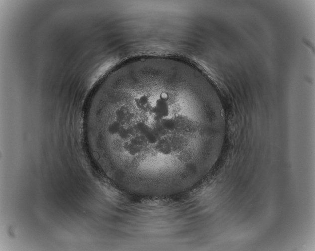 X0000097760679200803141724