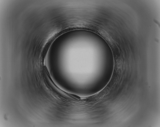 X0000097760680200803141724