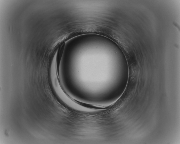 X0000097760681200803141724