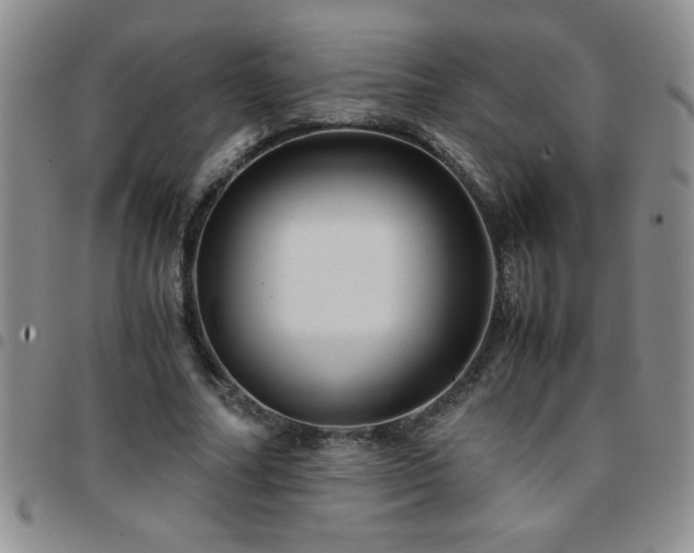 X0000097760682200803141724