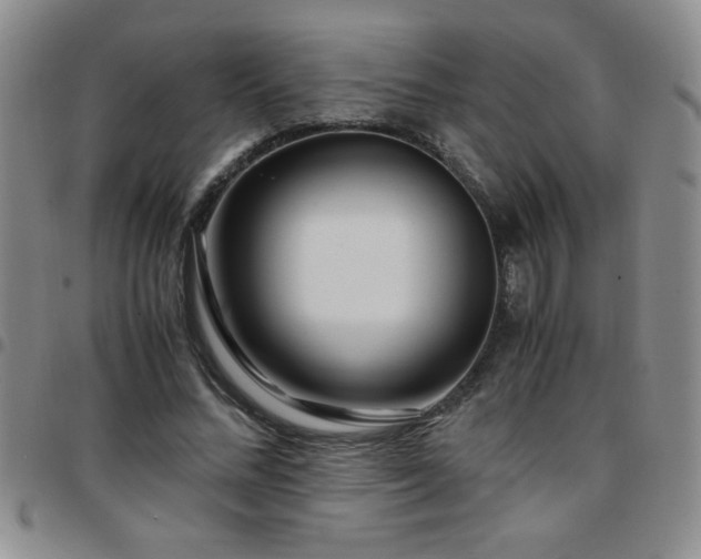 X0000097760684200803141723