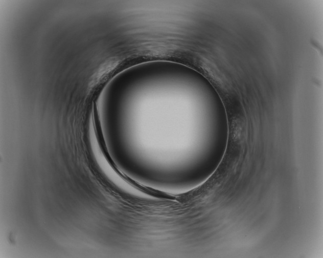 X0000097760685200803141723