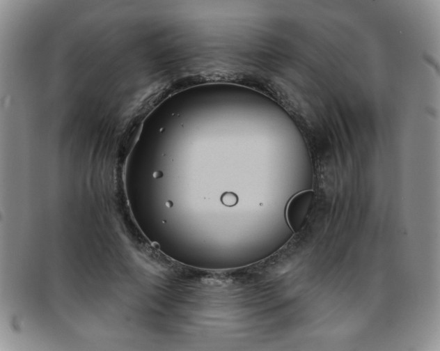 X0000097760690200803141723