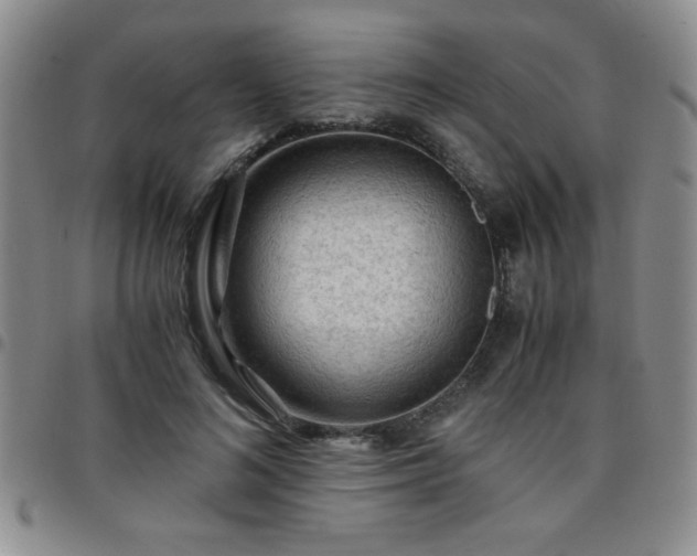 X0000097760692200803141723