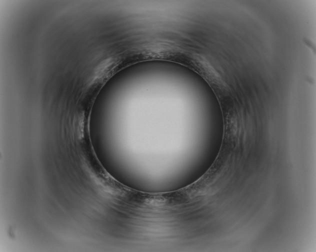 X0000097760694200803141723