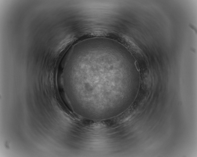 X0000097760696200803141723