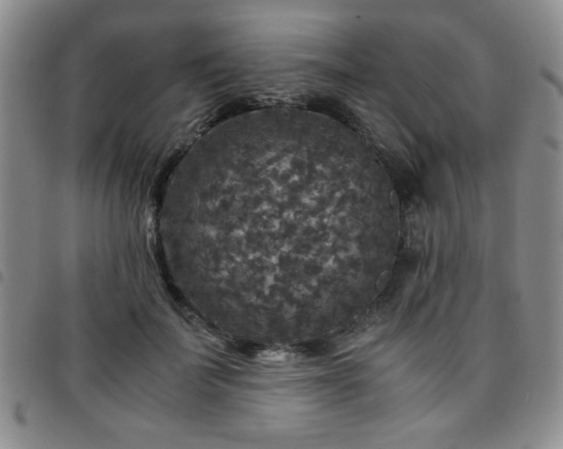 X0000097760699200803141723