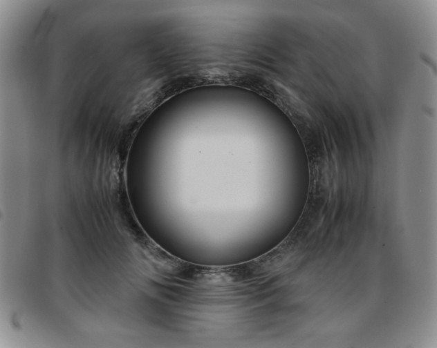 X0000097760702200803141723