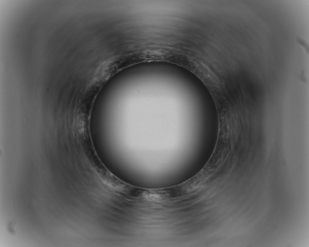 X0000097760706200803141723