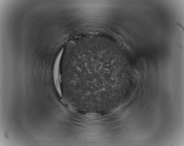 X0000097760707200803141723