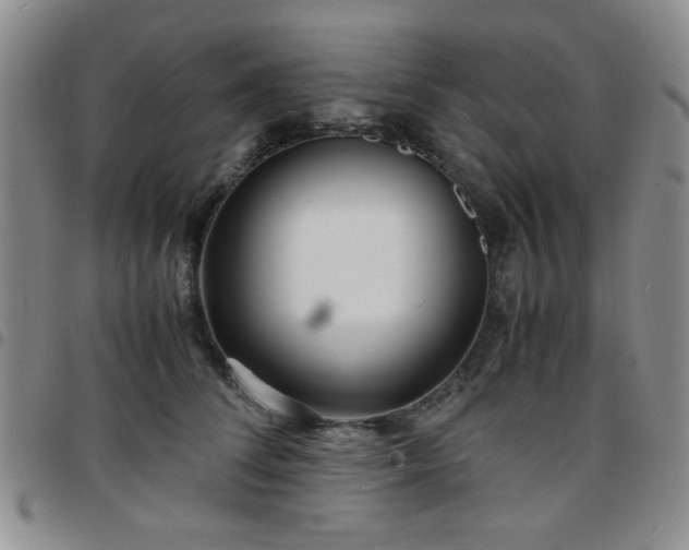 X0000097760708200803141723