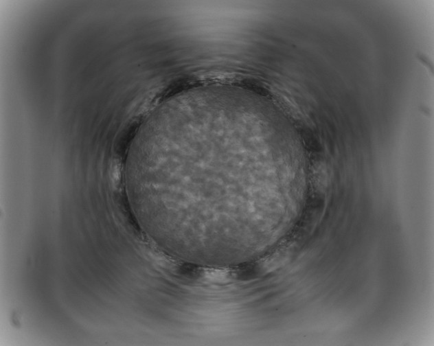 X0000097760709200803141723