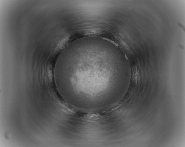 X0000097760716200803141723