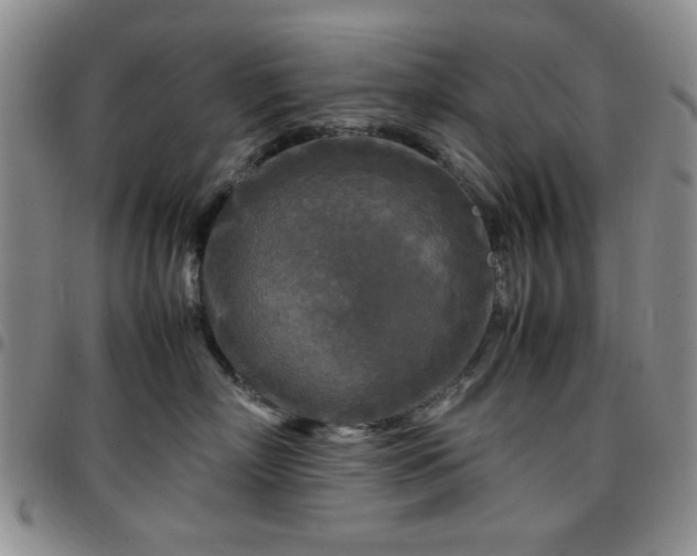 X0000097760718200803141723