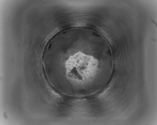 X0000097760721200803141722