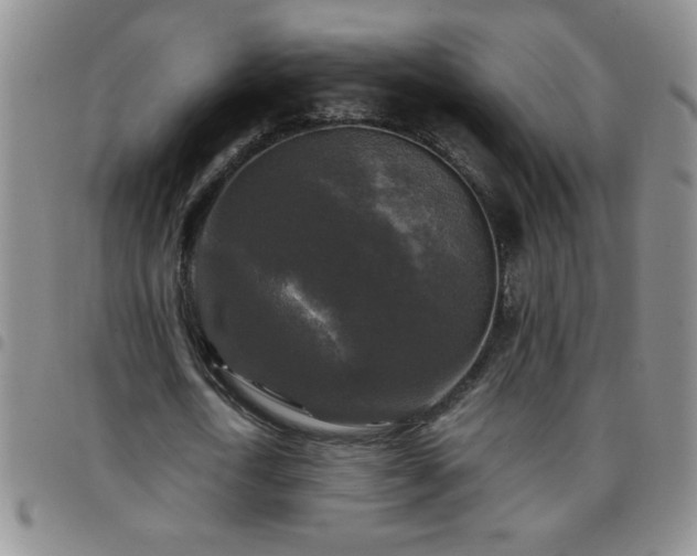 X0000097760722200803141722