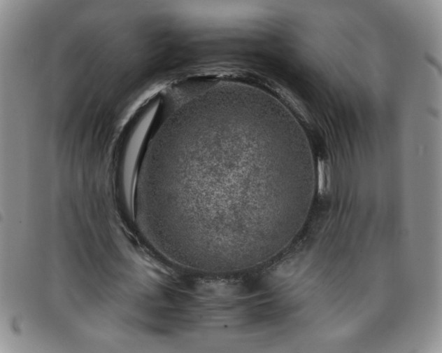 X0000097760723200803141722