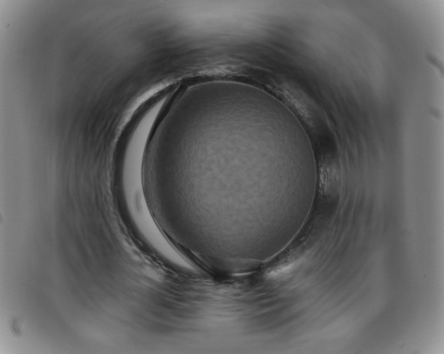 X0000097760724200803141722